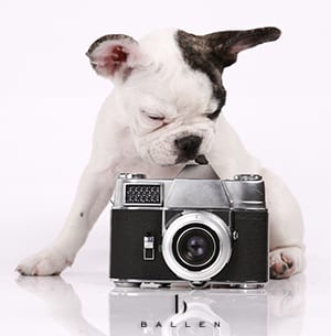 DogWithCamera