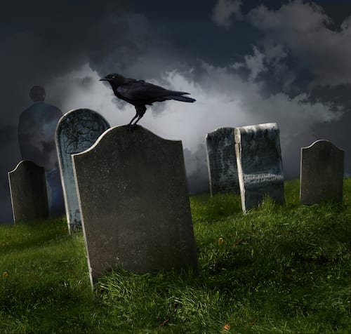 raven on tombstones at night