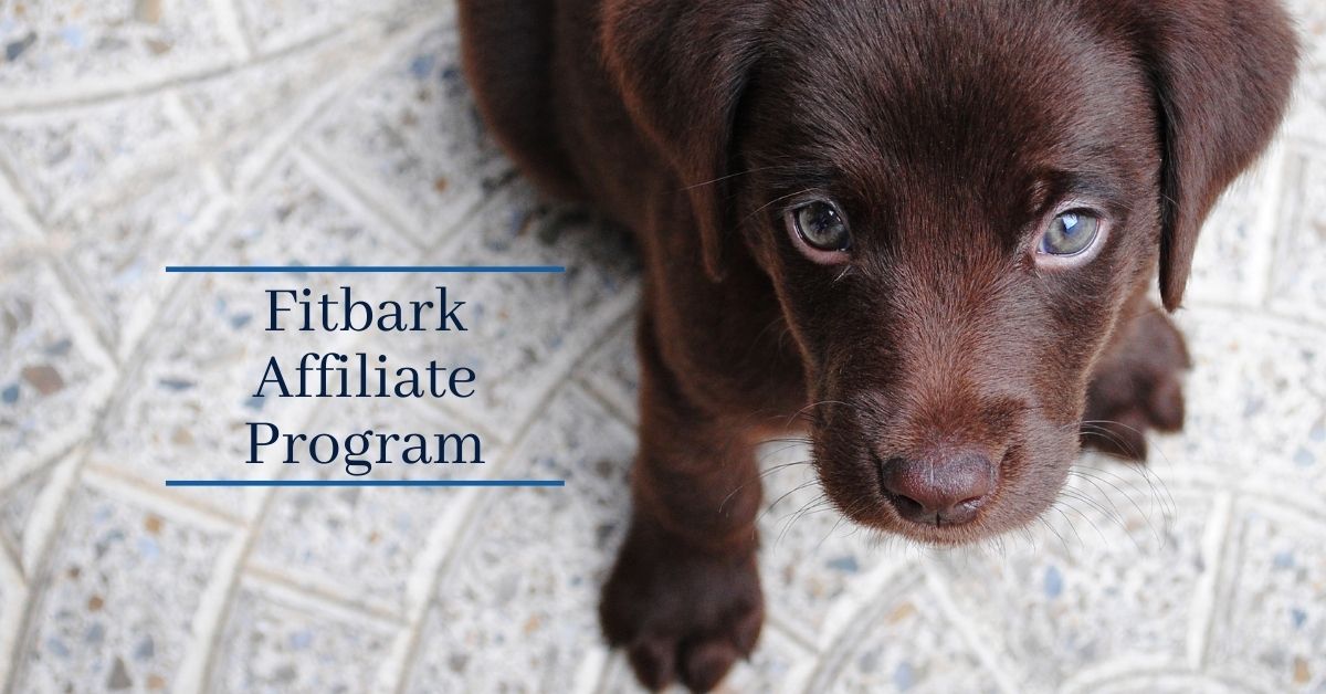 Fitbark offers an affiliate program within the ShareASale Network. Here are the program details.