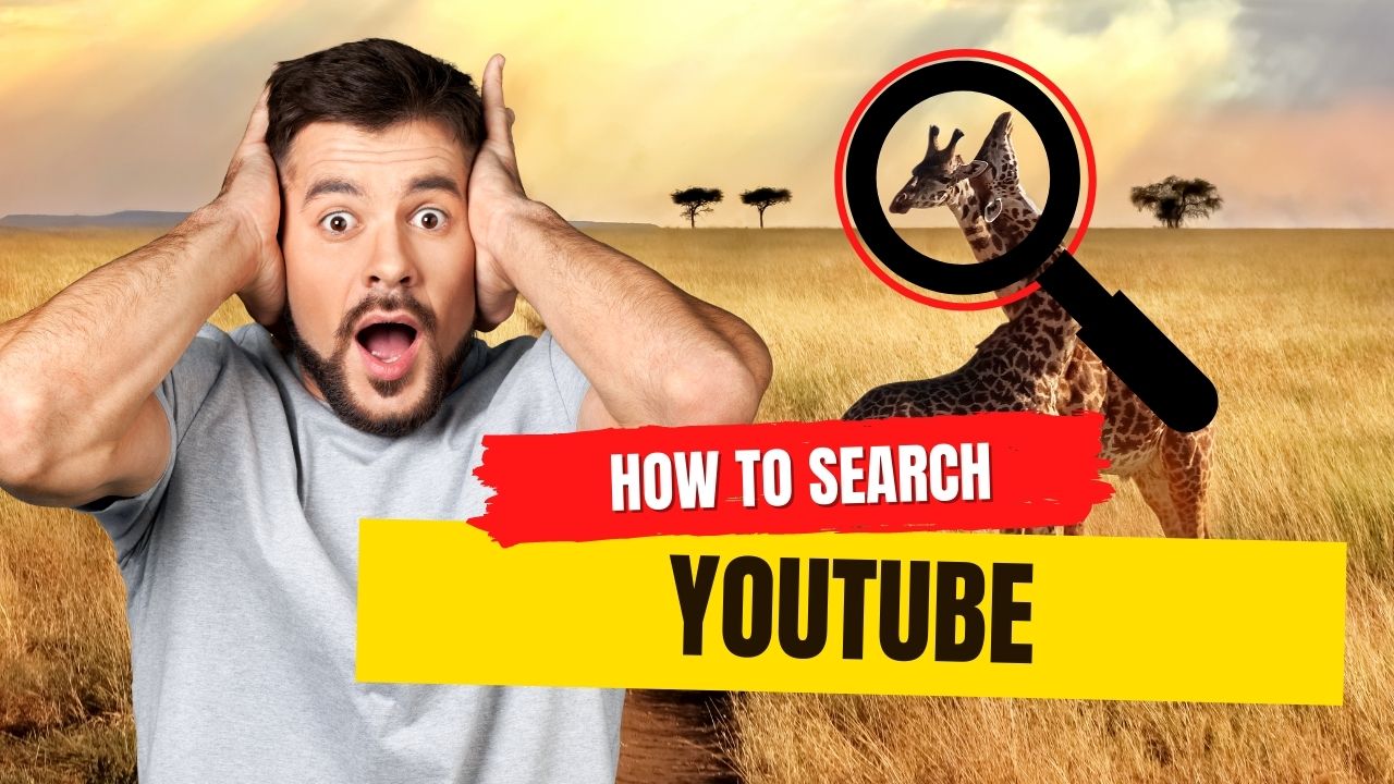 How to Search Youtube