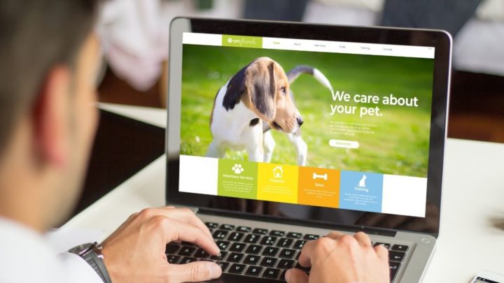 Get excited! If you want a profitable niche website, the pet niche is booming. Pet products can be sold through Amazon, dropshipping, affiliate marketing and more.