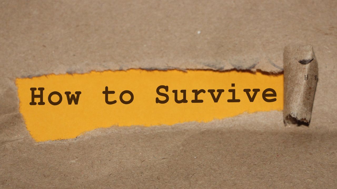 the best survival blogs