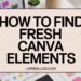 Secret Canva Element Keywords: The Method to Find Unique Elements Every Time